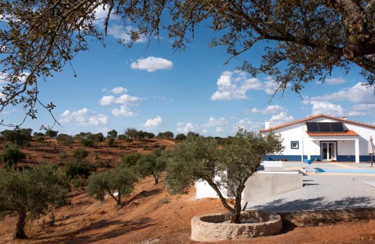 Bed and Breakfast Monte Anna Vila Verde de Ficalho Екстер'єр фото