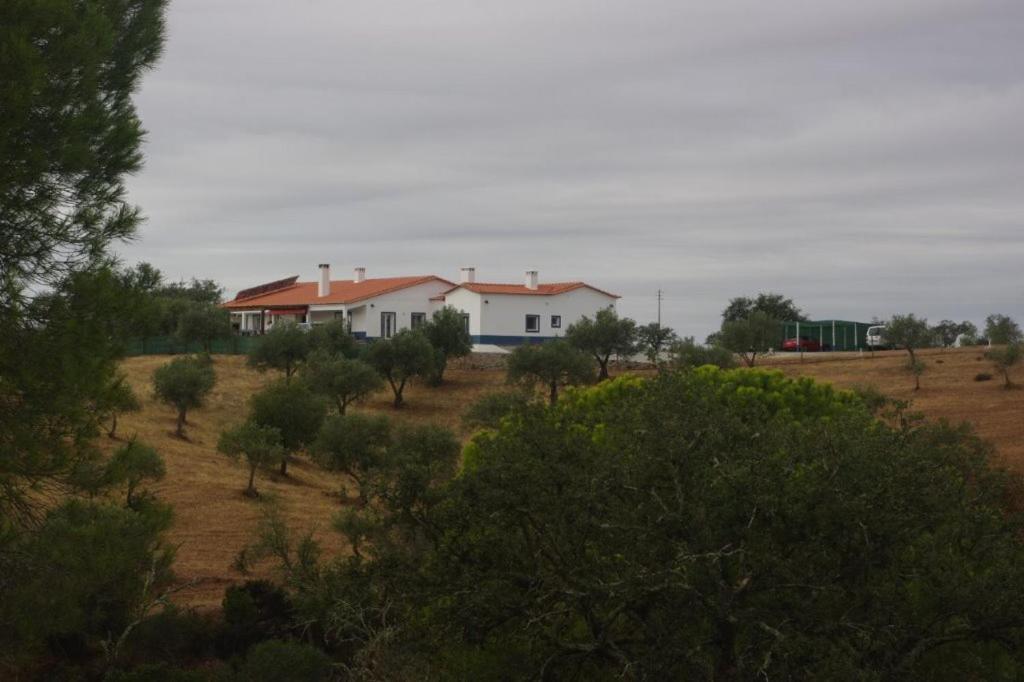 Bed and Breakfast Monte Anna Vila Verde de Ficalho Екстер'єр фото